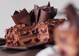 ������չģ��