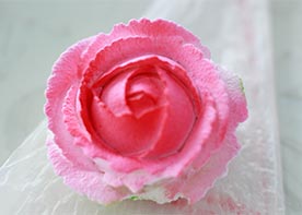 ��ǰѵ��ģ��