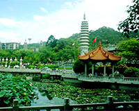 �����¶������ѧУ ������������