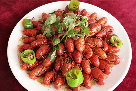 ����С��Ϻ