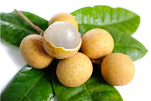 ������������ �����һ������������