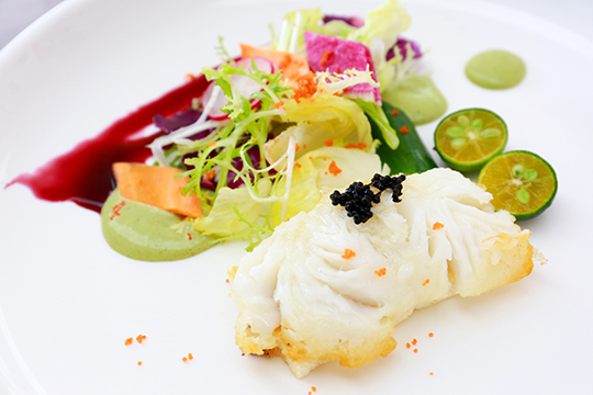 ������ɳ�����������