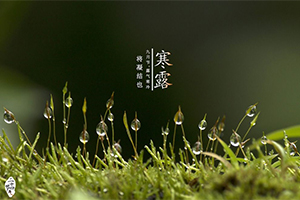 ��¶�سԵļ���ʳ��