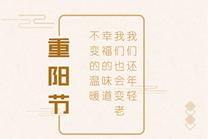 �ž������� ŨŨ������