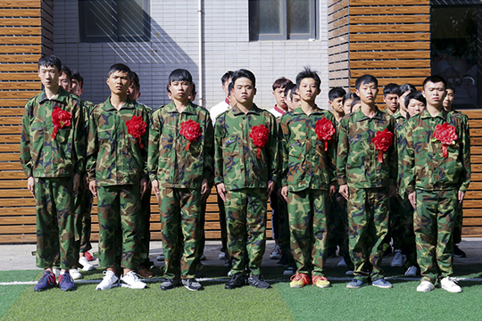 ��ѵ�㱨����