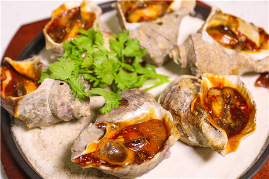  ����h����