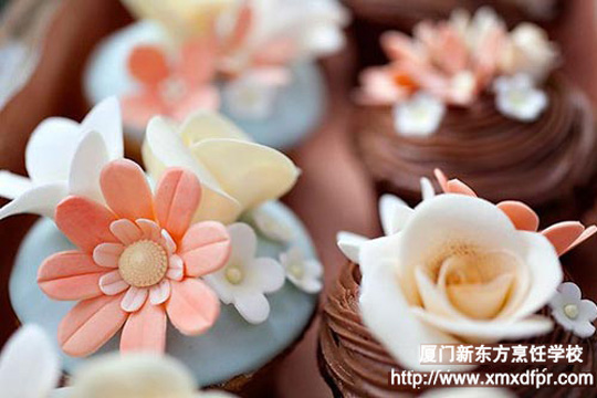 ����ϵ����Ʒ