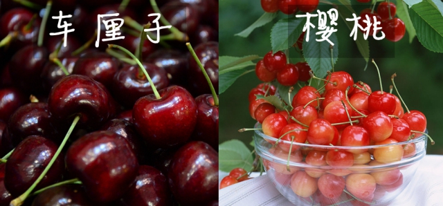 ����Ͳ��ܵ����ǲ���һ���£������Ӻ�ӣ������ʲô��ϵ��