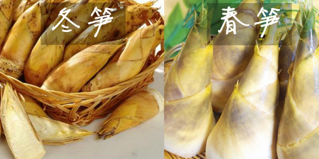 �����¶������ѧУ