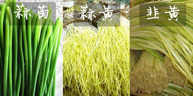 �����¶������ѧУ