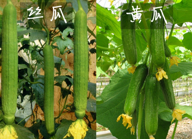 �����¶������ѧУ