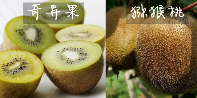 �����¶������ѧУ