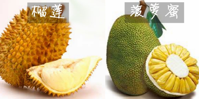 �����¶������ѧУ