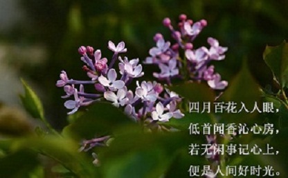 �����¶������ѧУ