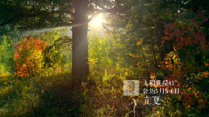 �����¶������ѧУ