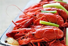 �����¶����Ƽ�����������С��Ϻ