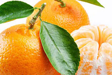 �����¶������ѧУ���أ����ιؽ��� ��ʳ�����ܹؼ�