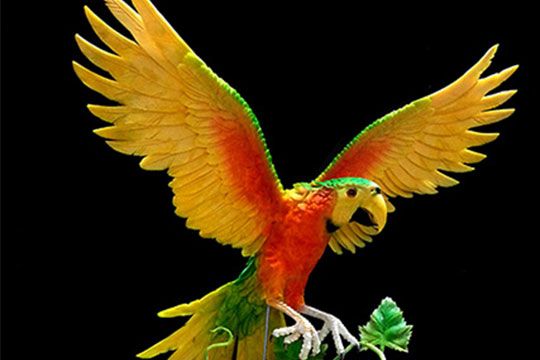 ��ɷ��� �����¶������ѧУ�����Ʒ