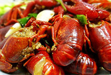 �����¶�����ʳ�Ƽ�������С��Ϻ