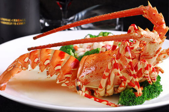 ���޴���Ϻ