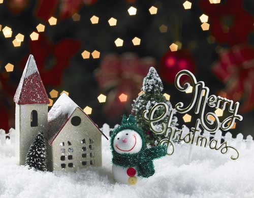 �����¶������ѧУ