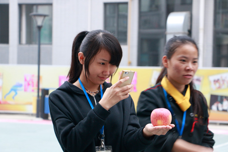 ϲӭʥ�� ��ƻ�������