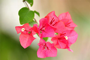  �˼�������|д�������ʫ