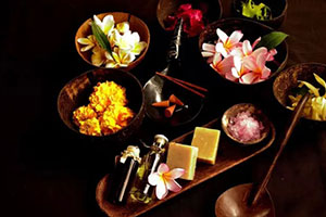 ��ɫ���˽� | �ʻ���ʳȱ������