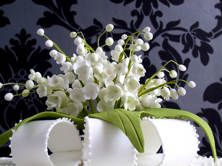 ����ϵ����Ʒ