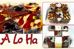  ����Ƹ��Ѷ������ALoHa��Ƹ����ʦ