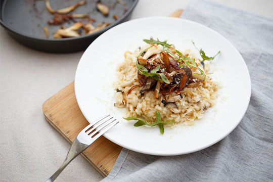 ������ⷹ