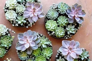 �����|�ѵ�������һ�����