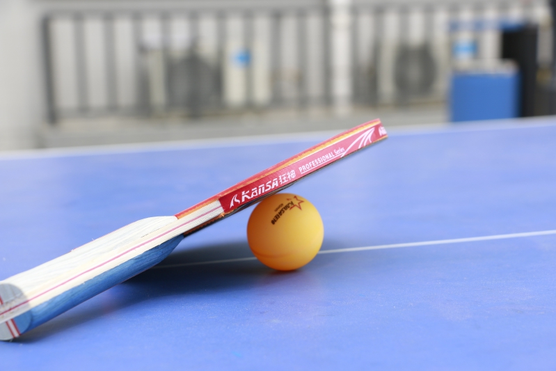 �����¶���2016��ƹ������