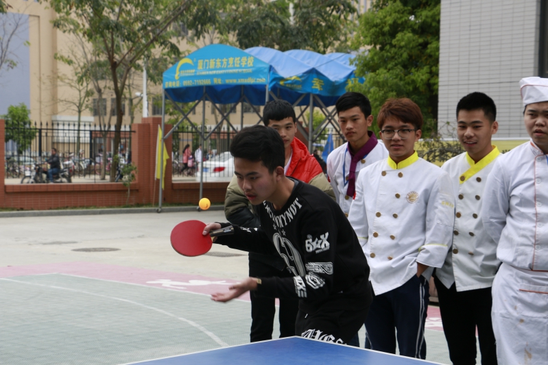 �����¶���2016��ƹ������