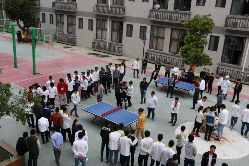 �����¶���2016��ƹ������