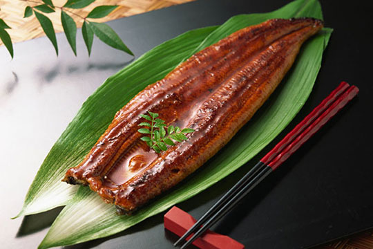 ��ʽ���ﵶ��