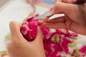 ���������¶�������ʳ��Ե