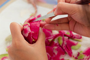 �ҵĳ��մ�ѧ�������¶������ѧУ