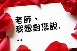 ��ʦ���������˵����