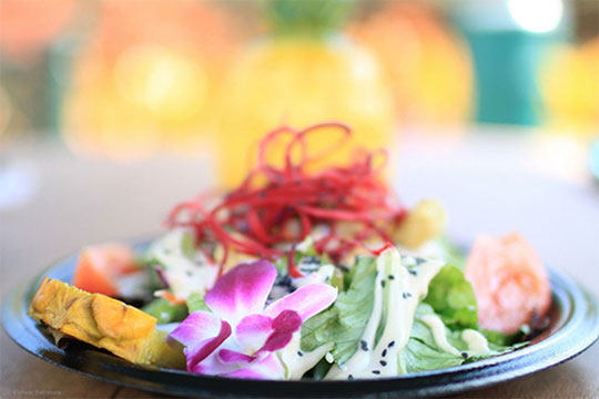 �����ķ�������ɳ��