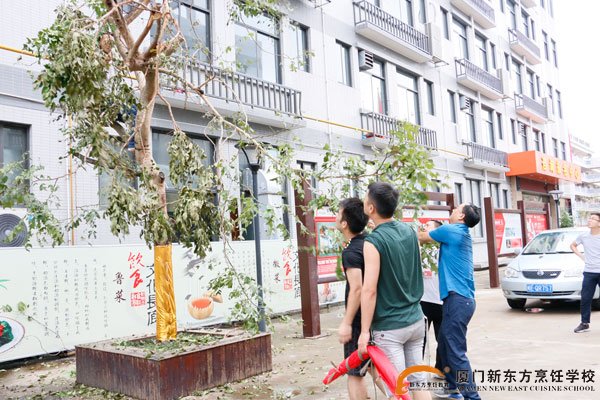 �����¶������ѧУ