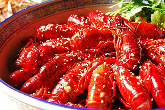 ʮ������Ϻ