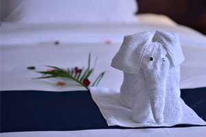 ����ƸѶϢ����������;��Ʒ�Ƶ�