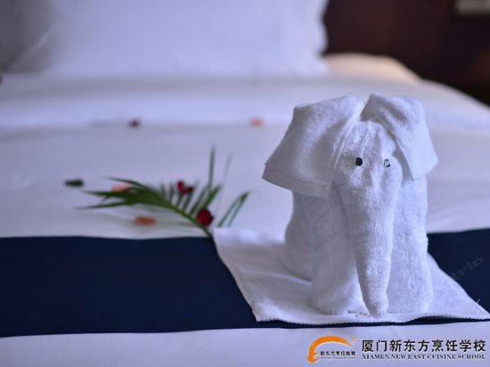 �����¶������ѧУ