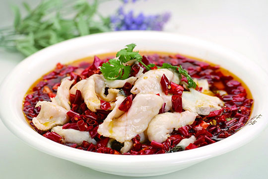 ������Ƭ