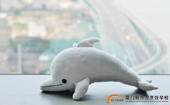 �����¶������ѧУ