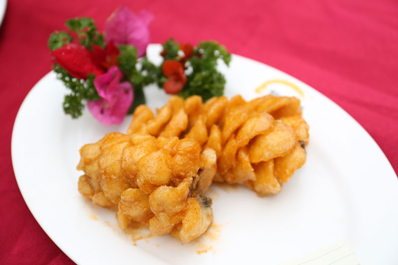 �вͽ׶��Կ���