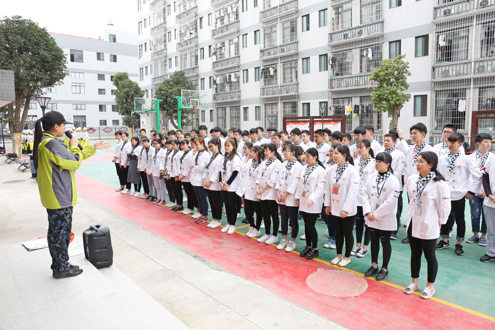 ְҵ������չѵ��