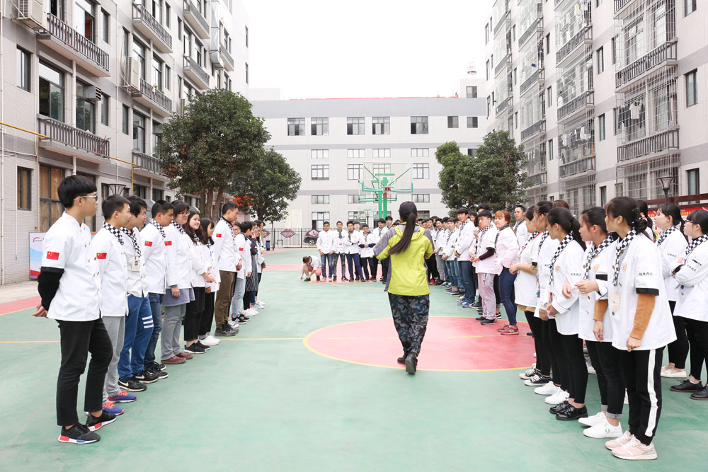 ְҵ������չѵ��