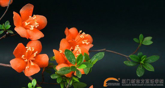 �����¶������ѧУ